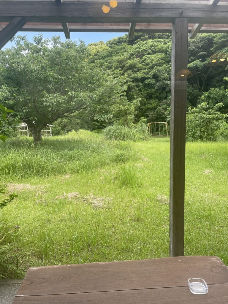 屋久島の喫茶樹林のテラス席から見える風景